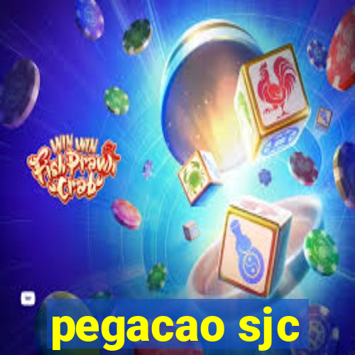 pegacao sjc